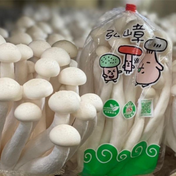 【弘嶂農場】白精靈菇