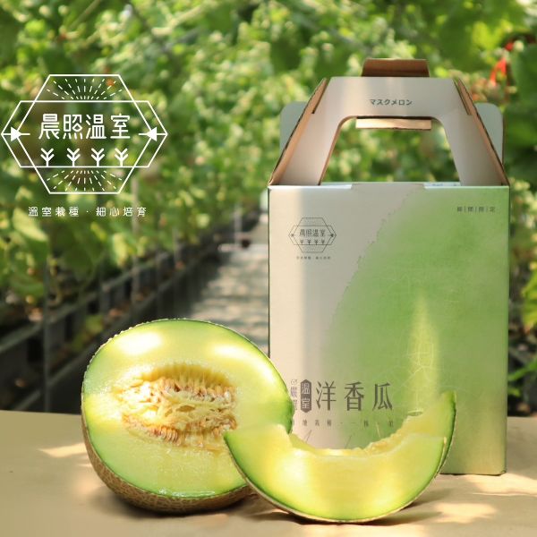 【晨照農場】溫室阿露斯洋香瓜